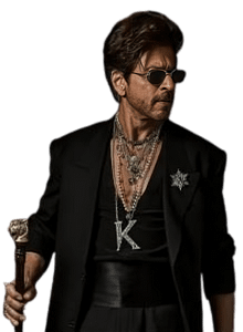 Shah Rukh Khan Net Worth